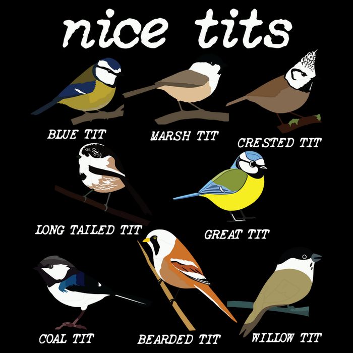 Funny Tit Birds Birdwatcher Cropped Pullover Crew