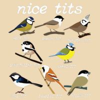 Funny Tit Birds Birdwatcher Zip Tote Bag