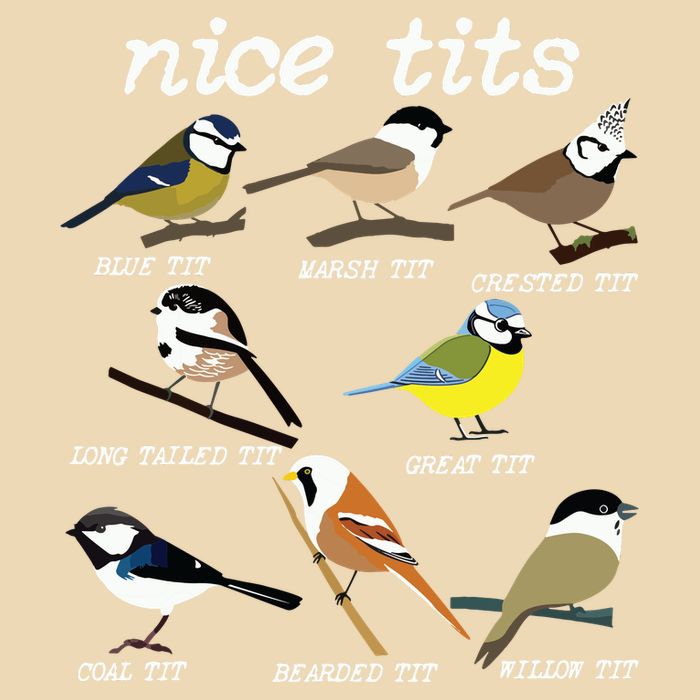 Funny Tit Birds Birdwatcher Zip Tote Bag