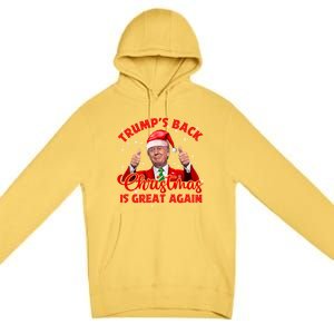 Funny TrumpS Back Christmas Is Great Again Xmas Pajama Ugly Gift Premium Pullover Hoodie