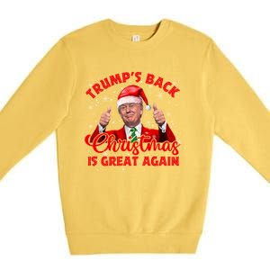 Funny TrumpS Back Christmas Is Great Again Xmas Pajama Ugly Gift Premium Crewneck Sweatshirt