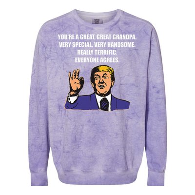 Funny Trump Best Grandpa Ever Everyone Agrees Colorblast Crewneck Sweatshirt