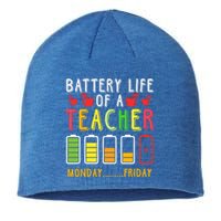 Funny Teacher Battery Life Teacher Battery Life Of A Teacher Meaningful Gift Sustainable Beanie