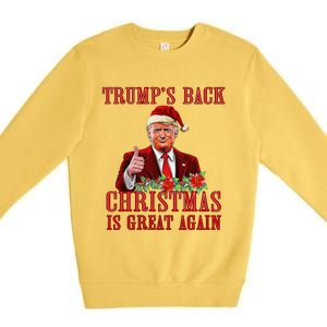 Funny Trump Back Santa Claus Make Christmas Great Again 2024 Premium Crewneck Sweatshirt