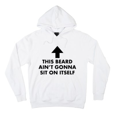 Funny This Beard Aint Gonna Sit On Itself Gift Hoodie