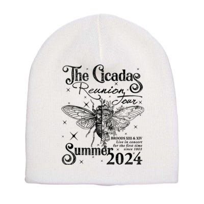 Funny The Cicadas Reunion Summer 2024 Short Acrylic Beanie