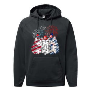 Funny Three Cat 4th Of July American Flag Patriotic Cat Performance Fleece Hoodie