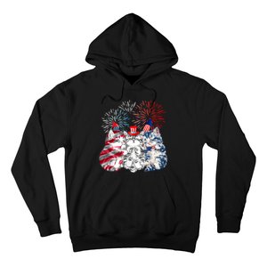 Funny Three Cat 4th Of July American Flag Patriotic Cat Hoodie