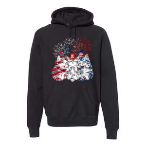 Funny Three Cat 4th Of July American Flag Patriotic Cat Premium Hoodie