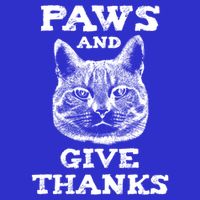 Funny Thanksgiving Cat Paws And Give Thanks Gift Hoodie