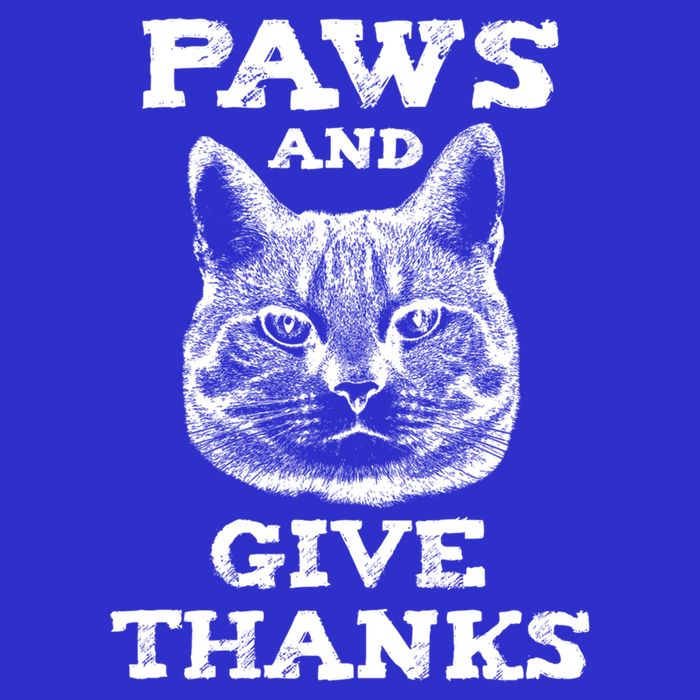 Funny Thanksgiving Cat Paws And Give Thanks Gift Hoodie