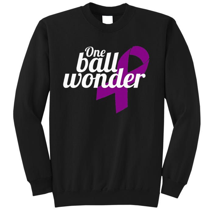 Funny Testicular Cancer Survivor Quote Saying Orchidectomy Sweatshirt