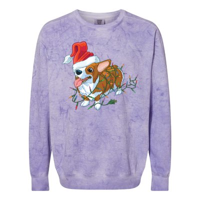 Funny Tangled Christmas Lights Corgi Dog Colorblast Crewneck Sweatshirt