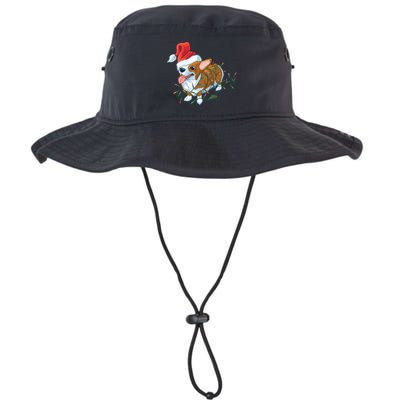 Funny Tangled Christmas Lights Corgi Dog Bucket Hat