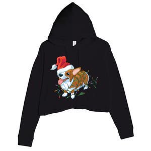 Funny Tangled Christmas Lights Corgi Dog Crop Fleece Hoodie