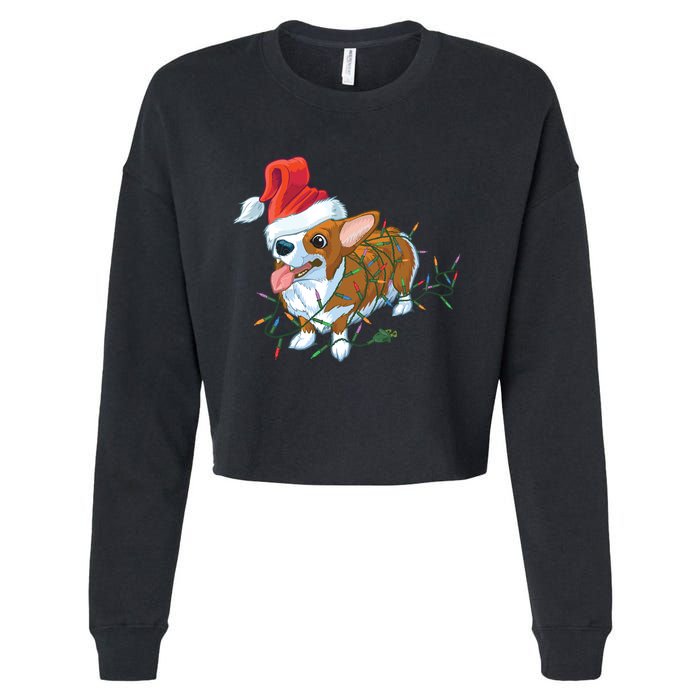 Funny Tangled Christmas Lights Corgi Dog Cropped Pullover Crew