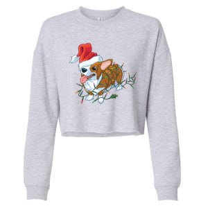 Funny Tangled Christmas Lights Corgi Dog Cropped Pullover Crew