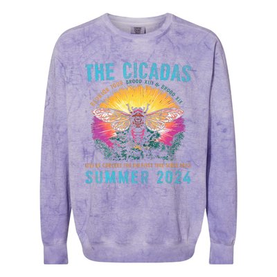 Funny The Cicadas Reunion Summer 2024 Colorblast Crewneck Sweatshirt