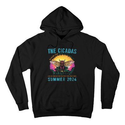 Funny The Cicadas Reunion Summer 2024 Hoodie