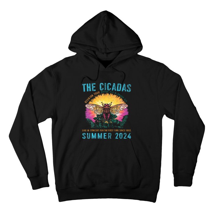 Funny The Cicadas Reunion Summer 2024 Hoodie