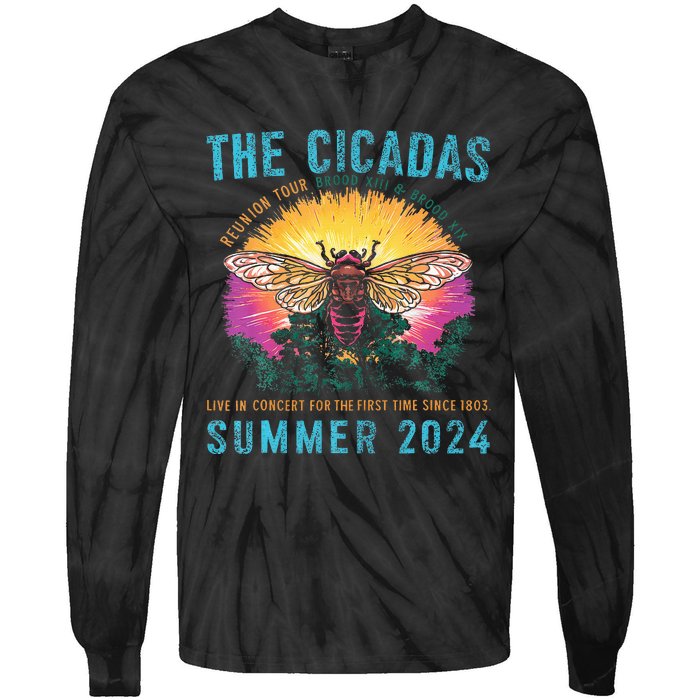 Funny The Cicadas Reunion Summer 2024 Tie-Dye Long Sleeve Shirt