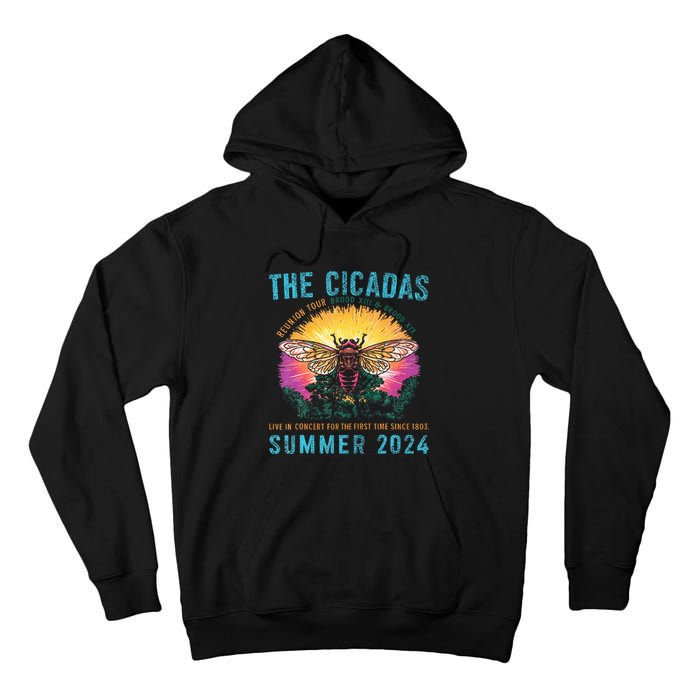 Funny The Cicadas Reunion Summer 2024 Tall Hoodie