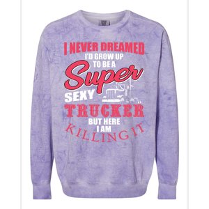 Funny Truck Driver Gift Semi Big Rig Trucking Trailer Truck Gift Colorblast Crewneck Sweatshirt