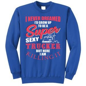 Funny Truck Driver Gift Semi Big Rig Trucking Trailer Truck Gift Sweatshirt