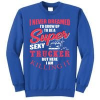 Funny Truck Driver Gift Semi Big Rig Trucking Trailer Truck Gift Sweatshirt