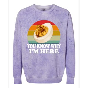 Funny Thanksgiving Deviled Eggs You Know Why IM Here Gift Colorblast Crewneck Sweatshirt