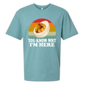 Funny Thanksgiving Deviled Eggs You Know Why IM Here Gift Sueded Cloud Jersey T-Shirt