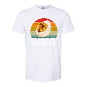 Funny Thanksgiving Deviled Eggs You Know Why IM Here Gift Softstyle CVC T-Shirt