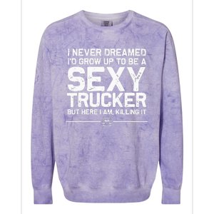 Funny Truck Driver Design For Trucker Wo Trucking Lover Colorblast Crewneck Sweatshirt