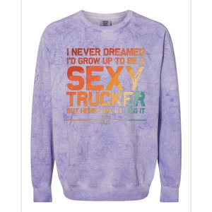 Funny Truck Driver Design For Trucker Trucking Lover Colorblast Crewneck Sweatshirt