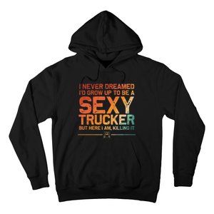 Funny Truck Driver Design For Trucker Trucking Lover Hoodie