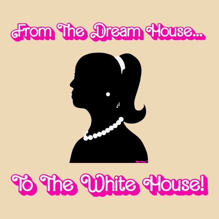 From The Dream House To The White House Drawstring Bag