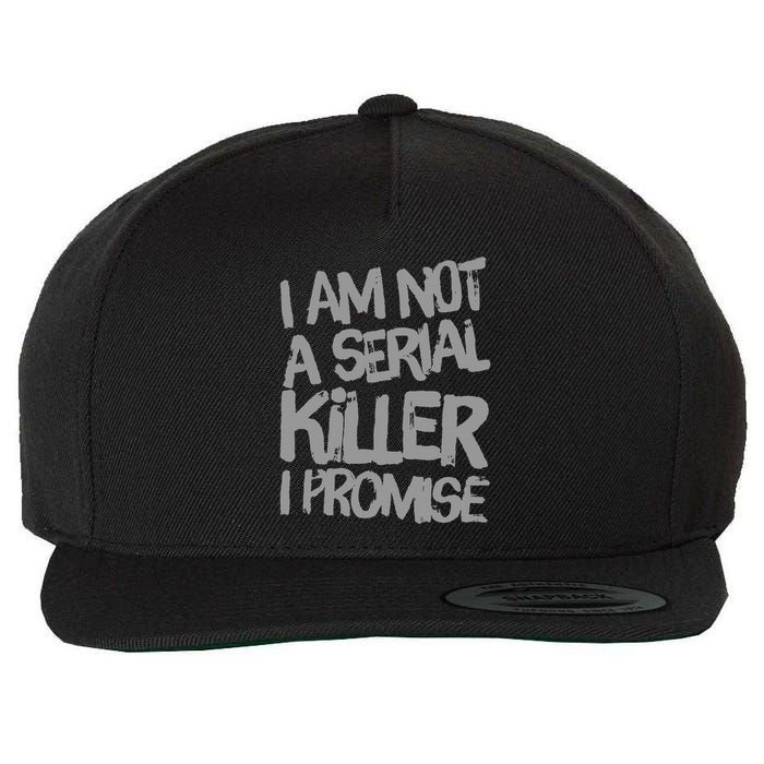 Funny Text Design Of I’M Not A Serial Killer I Promise Wool Snapback Cap