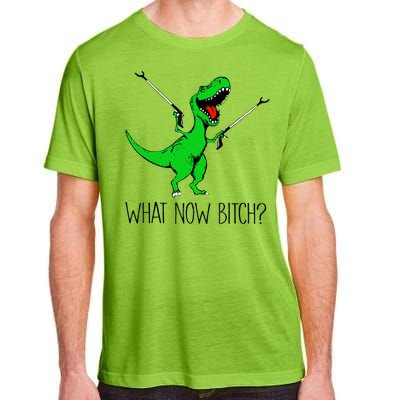 Funny TRex Dinosaur Gift What Now Bitch Funny Tyrannosaurus Rex Gift Adult ChromaSoft Performance T-Shirt