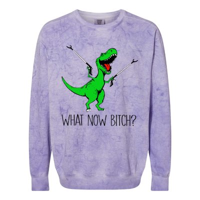 Funny TRex Dinosaur Gift What Now Bitch Funny Tyrannosaurus Rex Gift Colorblast Crewneck Sweatshirt