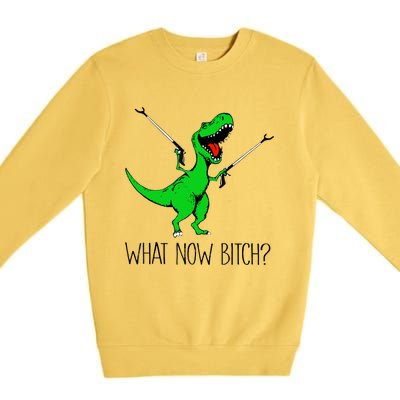 Funny TRex Dinosaur Gift What Now Bitch Funny Tyrannosaurus Rex Gift Premium Crewneck Sweatshirt