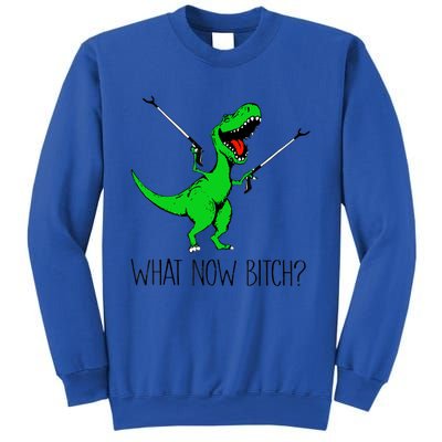 Funny TRex Dinosaur Gift What Now Bitch Funny Tyrannosaurus Rex Gift Sweatshirt