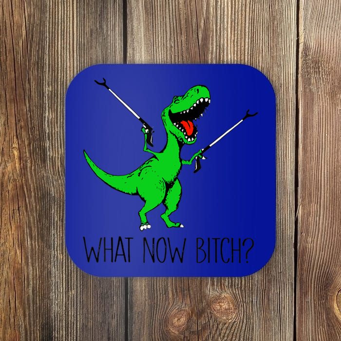 Funny TRex Dinosaur Gift What Now Bitch Funny Tyrannosaurus Rex Gift Coaster