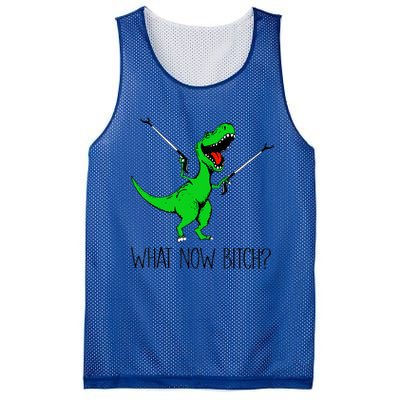 Funny TRex Dinosaur Gift What Now Bitch Funny Tyrannosaurus Rex Gift Mesh Reversible Basketball Jersey Tank