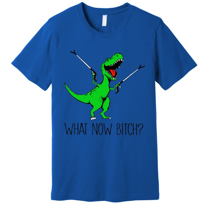 Funny TRex Dinosaur Gift What Now Bitch Funny Tyrannosaurus Rex Gift Premium T-Shirt