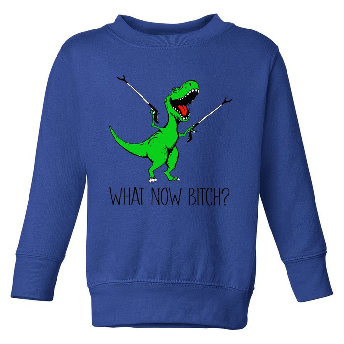 Funny TRex Dinosaur Gift What Now Bitch Funny Tyrannosaurus Rex Gift Toddler Sweatshirt