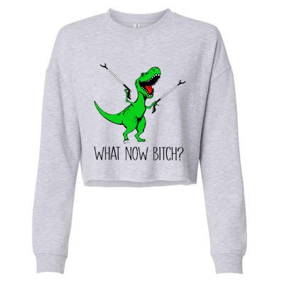 Funny TRex Dinosaur Gift What Now Bitch Funny Tyrannosaurus Rex Gift Cropped Pullover Crew