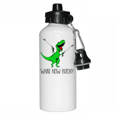 Funny TRex Dinosaur Gift What Now Bitch Funny Tyrannosaurus Rex Gift Aluminum Water Bottle