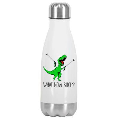 Funny TRex Dinosaur Gift What Now Bitch Funny Tyrannosaurus Rex Gift Stainless Steel Insulated Water Bottle