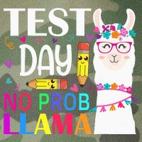 funny Test Day No Prob-llama Llama Teacher Legacy Tie Dye Trucker Hat