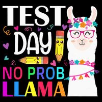 funny Test Day No Prob-llama Llama Teacher Button